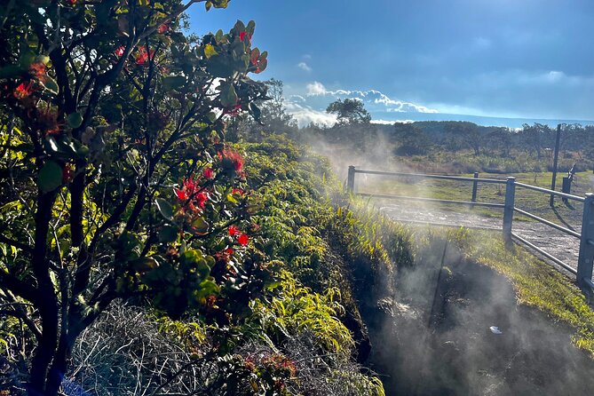 Private Big Island Tour: Coffee, Beaches, Volcanos, Waterfalls - Big Island Candies and Rainbow Falls