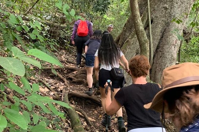 Private Canoeing, Cycling, Coffee and Hiking Tour in lake Duluti. - Cycling from the lake toward Meru villages