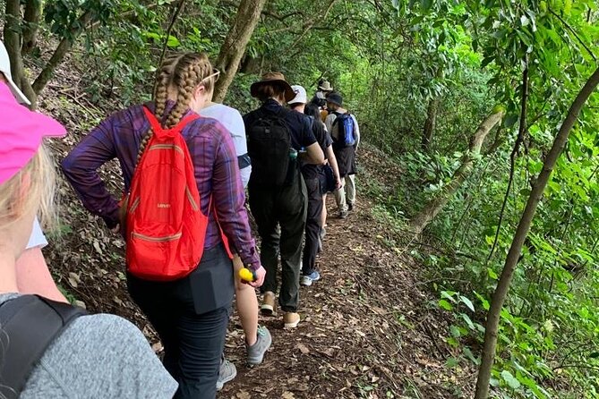 Private Canoeing, Cycling, Coffee and Hiking Tour in lake Duluti. - Practical advice before you reserve