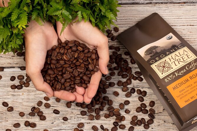 Private Coffee Roasting Class - Key points to know before you book