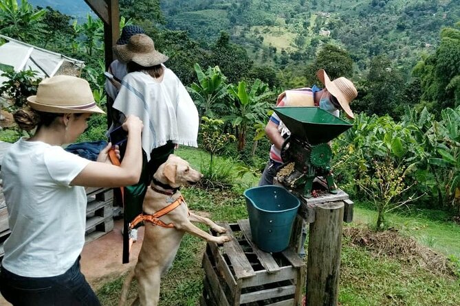 Private Coffee Tour in Jardín Antioquia - Picking, pulping, roasting, and grinding your own beans