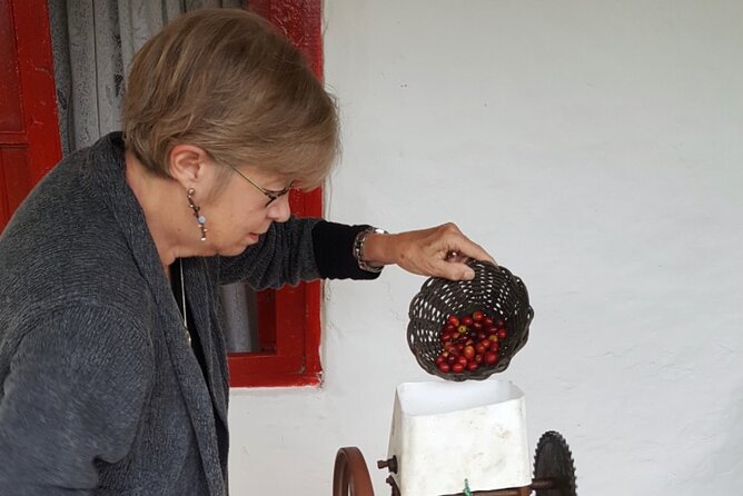 Private coffee tour near Medellín, from bean to cup. - Watching drying, fermentation, and roasting change flavor