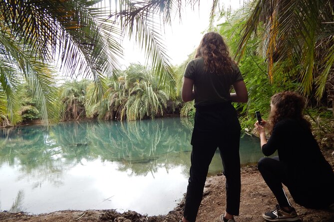 Private Full-Day Materuni Waterfall, Coffee and Hot-spring Tour in Moshi - Four details that shape the day