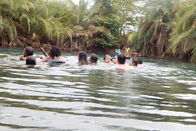 Private Full-Day Materuni Waterfall, Coffee and Hot-spring Tour in Moshi - Swimming at Kikuletwa Hot Spring