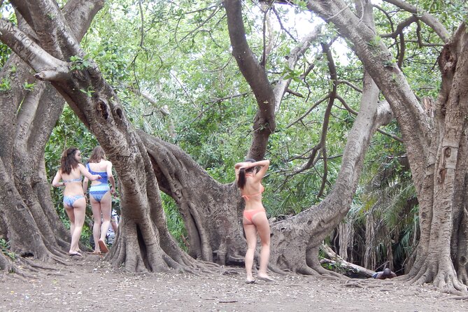 Private Full-Day Materuni Waterfall, Coffee and Hot-spring Tour in Moshi - Coffee and Chagga culture