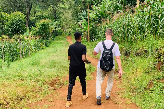 Private Full-Day Materuni Waterfall, Coffee and Hot-spring Tour in Moshi - What the reviews reveal about the service