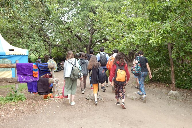 Private Full-Day Materuni Waterfall, Coffee and Hot-spring Tour in Moshi - Is $95 a good price?