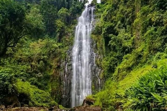 Private Materuni Waterfall & Coffee Tour. - Why Materuni makes a smart day trip from Moshi