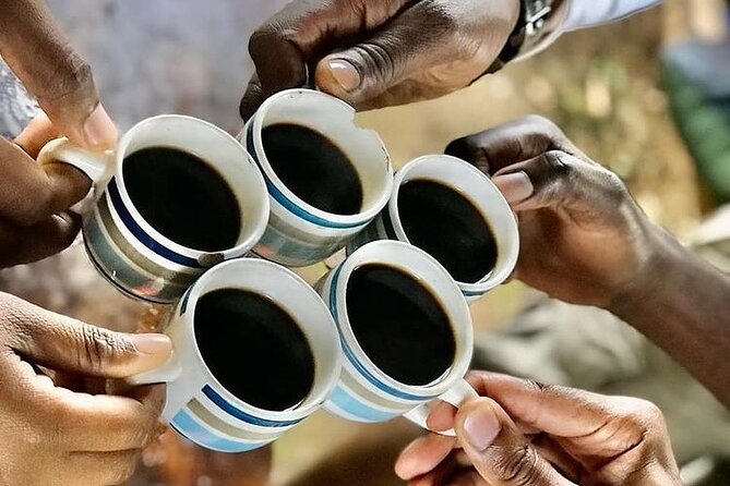 Private Materuni Waterfall & Coffee Tour. - Lunch works best after the walk and swim