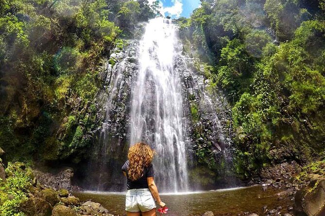 Private Materuni Waterfalls, Coffee Tour and Kikuletwa Hot Spring - Why this day works so well from Arusha