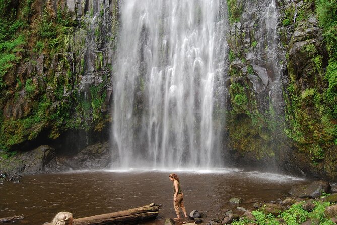 Private Materuni Waterfalls, Coffee Tour and Kikuletwa Hot Spring - Lunch before the Kikuletwa transfer