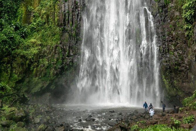 Private Materuni Waterfalls, Coffee Tour and Kikuletwa Hot Spring - The road to Kikuletwa Hot Spring