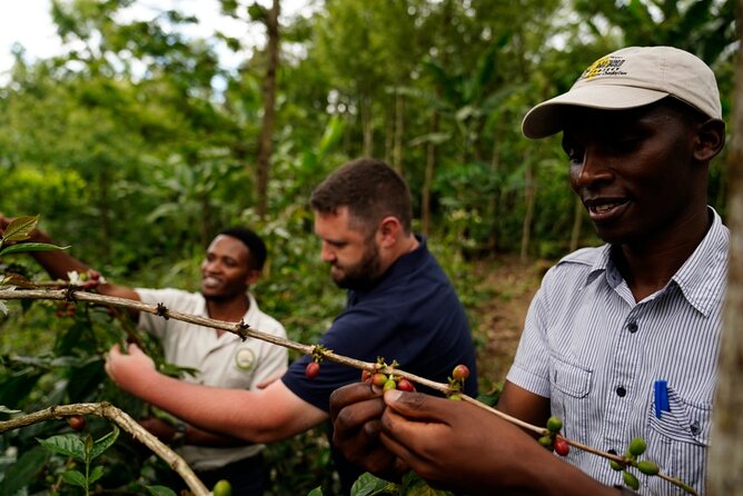 Private Meru Coffee Tour in Nkoaranga - Why this Meru coffee tour feels different