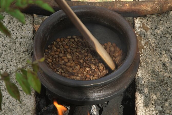 Private Meru Coffee Tour in Nkoaranga - The Small Things and its community mission