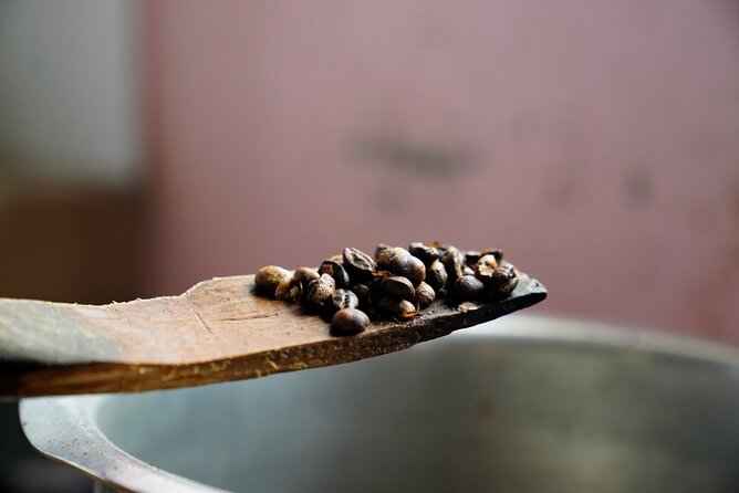 Private Meru Coffee Tour in Nkoaranga - Is $35 a fair price?