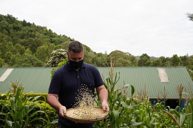 Private Meru Coffee Tour in Nkoaranga - Timing, weather, and practical preparation