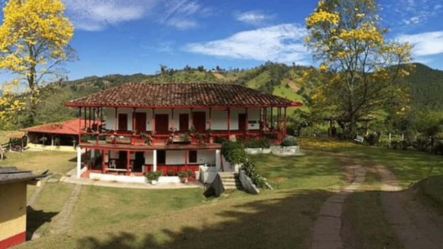 Private Tour to Coffee Farm (farm of your choice) - Why private transport makes a difference