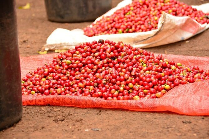 Private Tour to Fairview Coffee Farm in Nairobi with Pickup - Inside the Coffee Factory