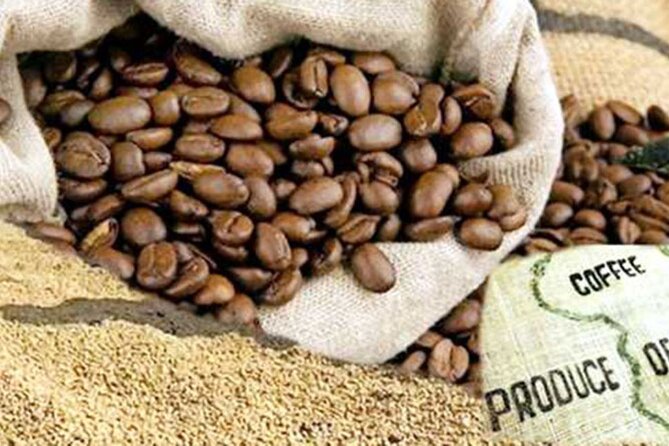 Private Tour to Fairview Coffee Farm in Nairobi with Pickup - Roasting and the Coffee Lab