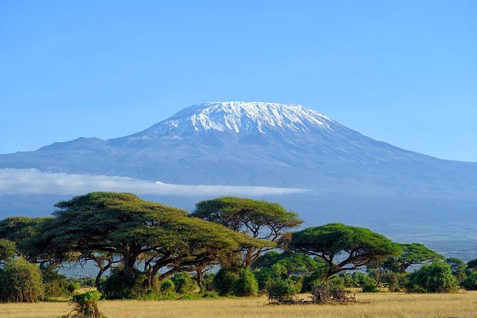 Private Tour to Marangu Waterfalls, Chagga Caves, Coffee tour & Hot Springs - Why This Arusha Day Trip Works