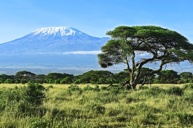 Private Tour to Marangu Waterfalls, Chagga Caves, Coffee tour & Hot Springs - The 7:00 am Departure From Arusha