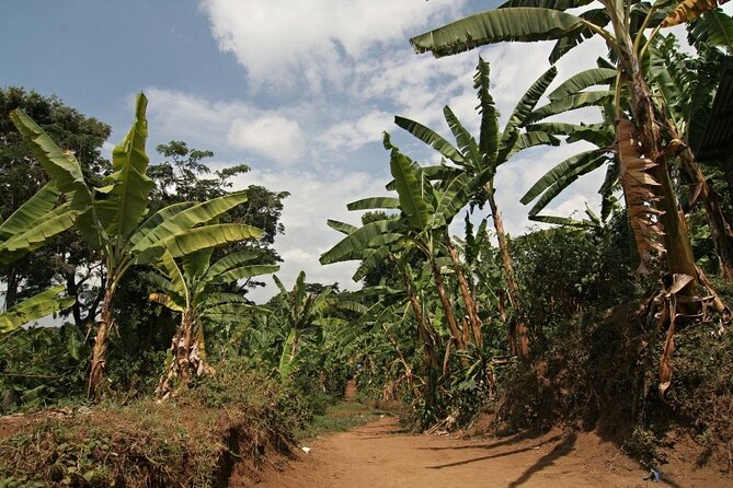 Private Tour to Marangu Waterfalls, Chagga Caves, Coffee tour & Hot Springs - Who Will Enjoy This Day Most