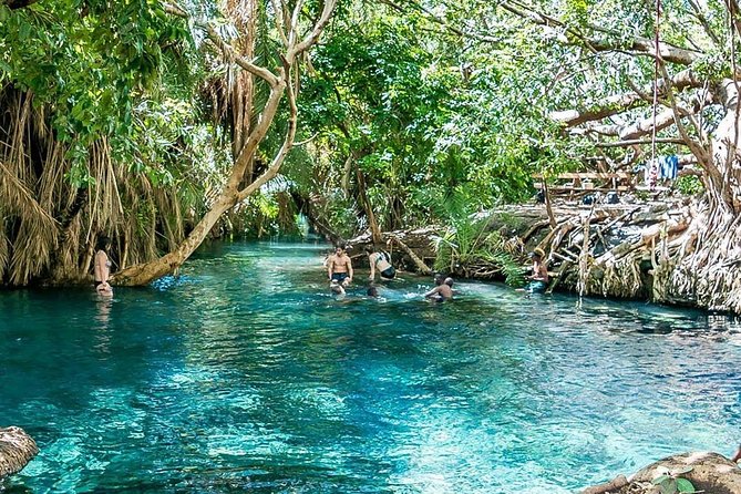 Private Tour to Materuni waterfalls, coffee tour & Kikuletwa hot- springs - A full day from Moshi to three natural stops