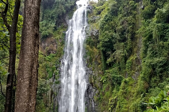 Private Tour to Materuni waterfalls, coffee tour & Kikuletwa hot- springs - What the private format changes