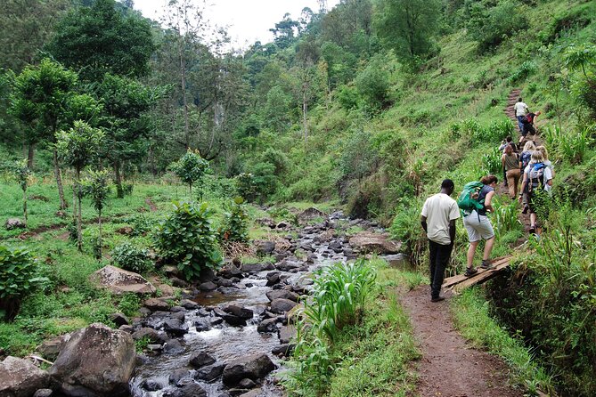 Private Tour to Materuni Waterfalls, coffee tour, Kikuletwa Hot Springs & Maasai - Meeting local brewers and tasting the area