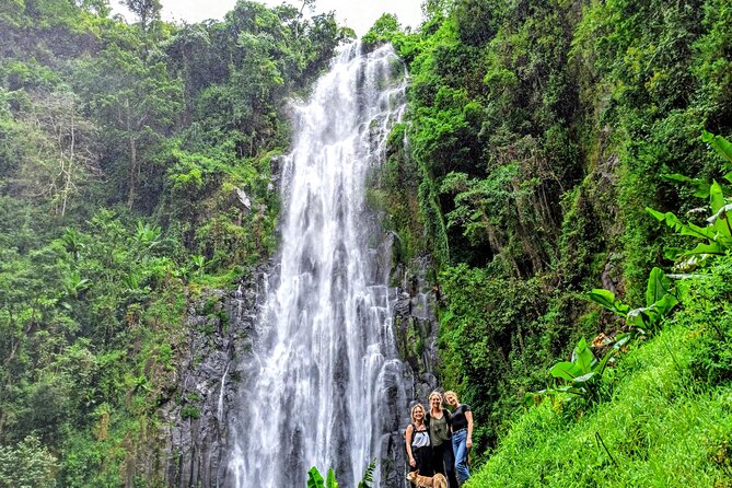 Private Tour to Materuni Waterfalls, coffee tour, Kikuletwa Hot Springs & Maasai - A Maasai boma visit at the end of the day