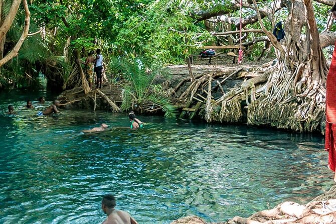 Private Tour to Materuni Waterfalls, coffee tour, Kikuletwa Hot Springs & Maasai - Guides, pace, and the private-tour advantage