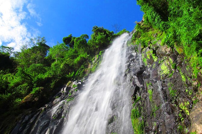 Private Tour to Materuni Waterfalls, coffee tour, Kikuletwa Hot Springs & Maasai - Coffee from picked beans to your own cup