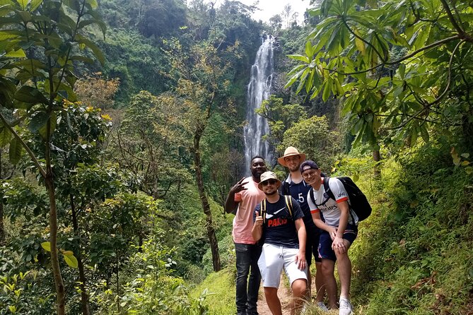 Private Tour to Materuni waterfalls, coffee tour & Kikuletwa hot- springs - Materuni Falls and the natural pools