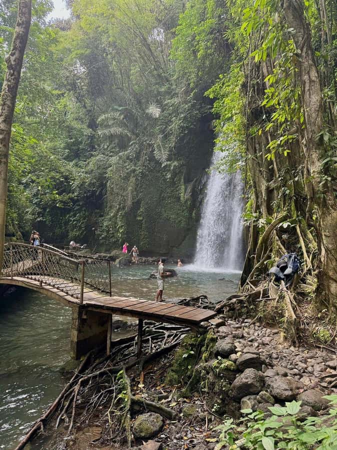 Private Ubud Tour: Sacred Monkeys, Coffee, Temple, Waterfall - What makes this Ubud day worth considering