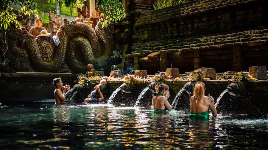 Private Ubud Tour: Sacred Monkeys, Coffee, Temple, Waterfall - Meeting the monkeys in the forest