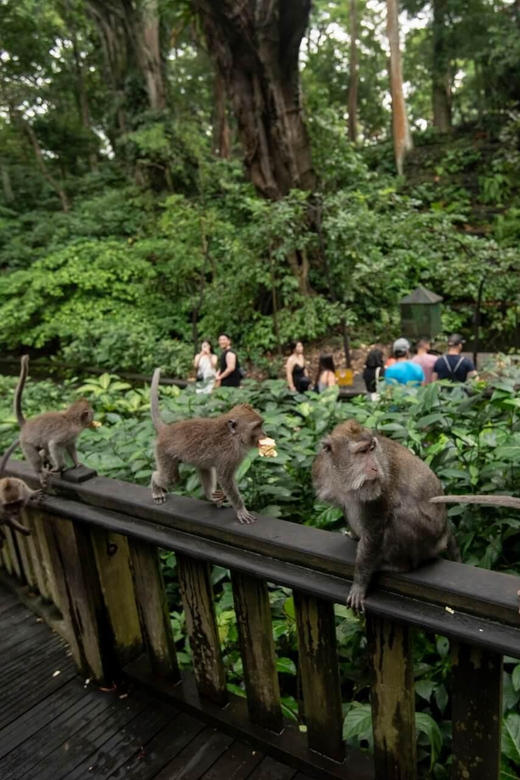Private Ubud Tour: Sacred Monkeys, Coffee, Temple, Waterfall - Tirta Empul Temple and the meaning of a temple visit