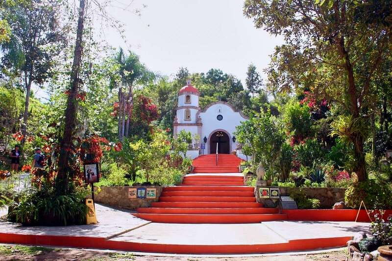 Puerto Vallarta: Botanical Gardens, Distillery & Coffee Tour - What the garden guide adds