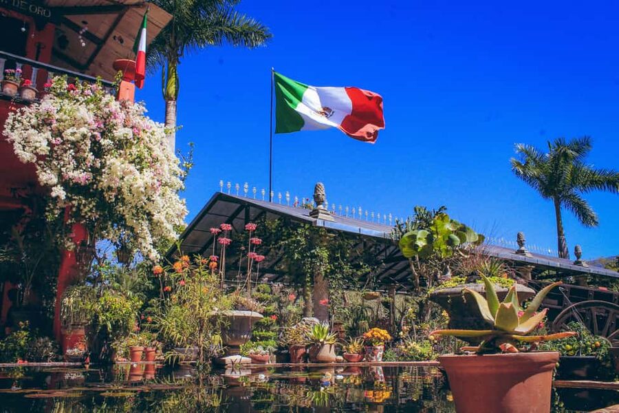 Puerto Vallarta: Botanical Gardens, Distillery & Coffee Tour - Should you book the gardens, distillery and coffee tour?