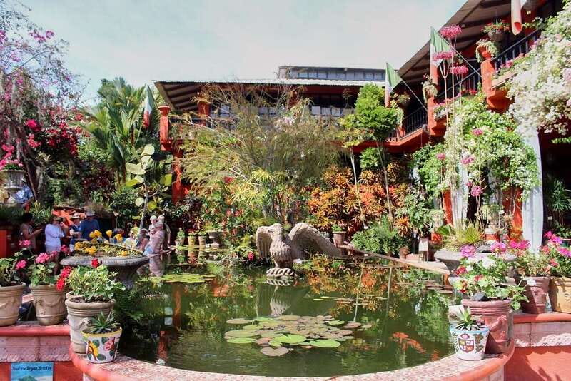Puerto Vallarta: Botanical Gardens, Distillery & Coffee Tour - Walking through the Puerto Vallarta Botanical Gardens