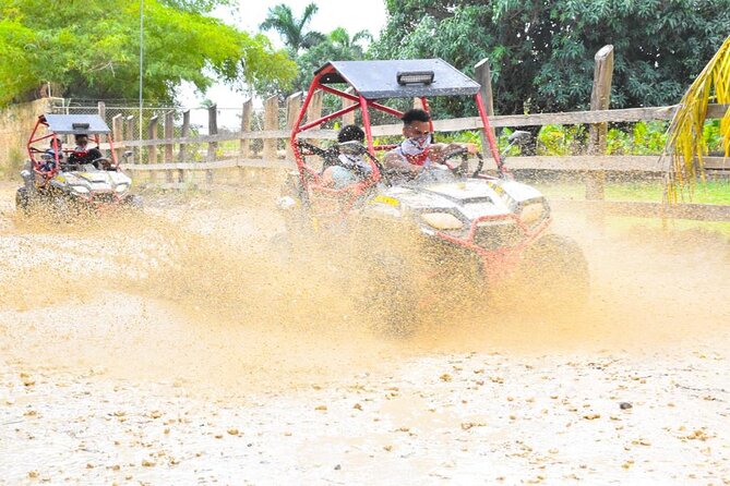 Punta Cana Family Buggy; cave pool, beach, coffee tasting - Is $44 a fair price?