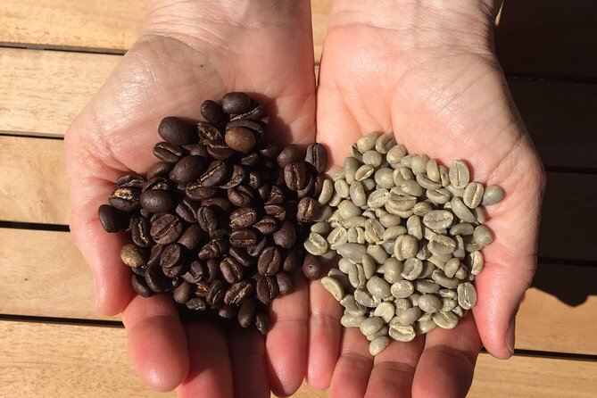 Roast Your Own Coffee - Watching Green Beans Become Brown