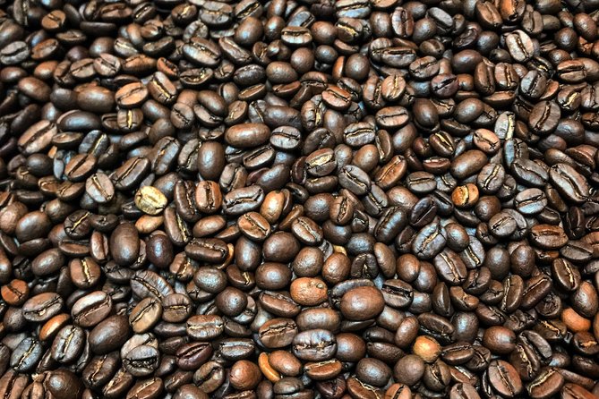 Roasting Experience at 14th Coffee Co - Charcuterie, cheese, fruit, nuts, and pastry