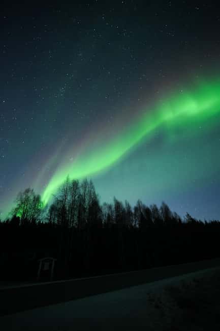 Rovaniemi: Coffee under Northern Lights & Professional Photo - How far will you really drive?