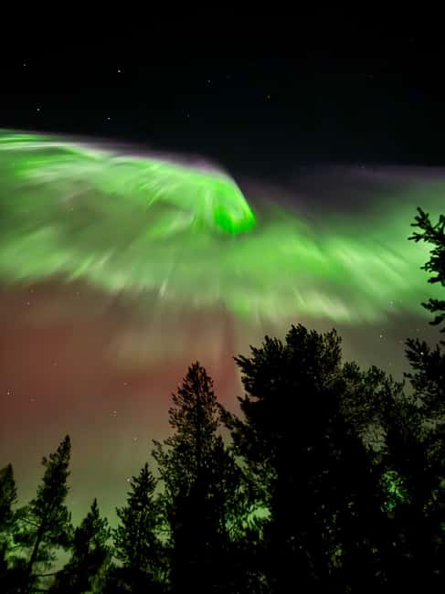 Rovaniemi: Coffee under Northern Lights & Professional Photo - Is $116 a fair price?