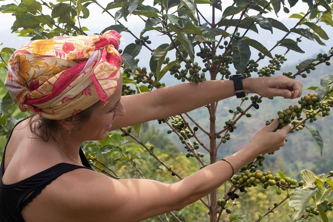 Rwandan Coffee Experience - Fetching water or helping in the kitchen