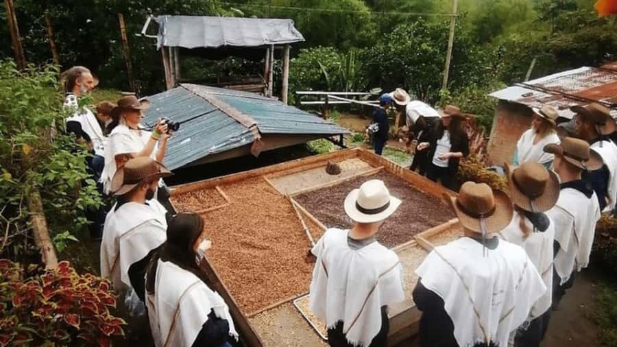Salento and Cócora Tour + Coffee Farm from Pereira/Armenia - What makes this day worth considering