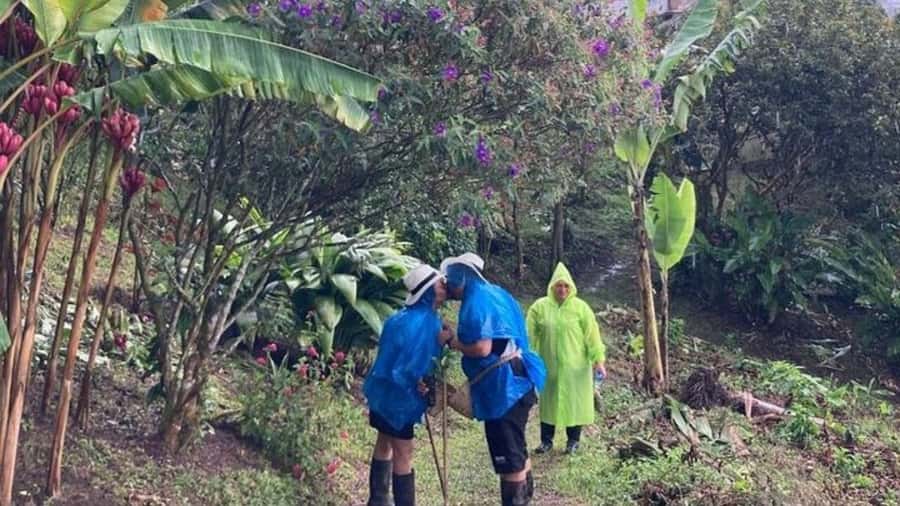 Salento and Cócora Tour + Coffee Farm from Pereira/Armenia - What the $173 price really buys