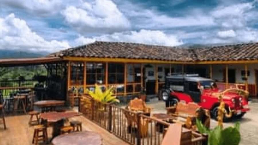 Salento and Cócora Tour + Coffee Farm from Pereira/Armenia - Cocora Valley and the wax palm forest