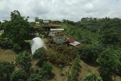 Salento and Cócora Tour plus Coffee Farm from Pereira or Armenia