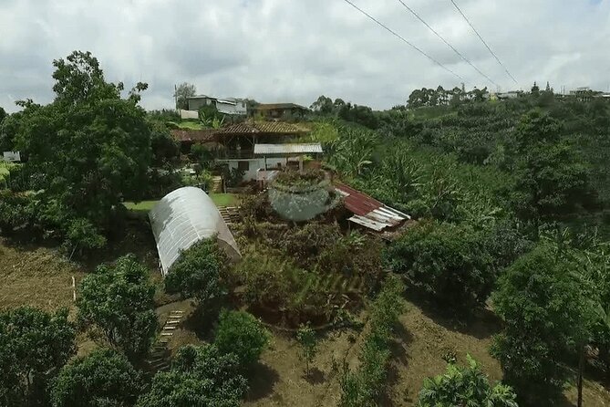 Salento and Cócora Tour plus Coffee Farm from Pereira or Armenia - Salento’s Royal Street and colorful town center